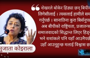 ‘बीपीको सिद्धान्त र लिगेसी डा.शेखरले बचाउँछन्’