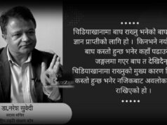 मान्छे बाघको आहारा होइन, हाम्रो बुझाइ गलत छ : डा.नरेश सुवेदी