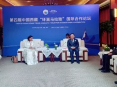 उपसभामुख र चीनका विदेशमन्त्री वाङबीच भेटवार्ता