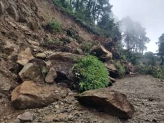 पर्यटकीय स्थल सैलुङ जाने सडक पहिरोले अवरुद्ध