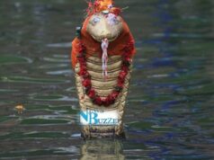 आज नागपञ्चमी, पूजा आराधना गरिँदै