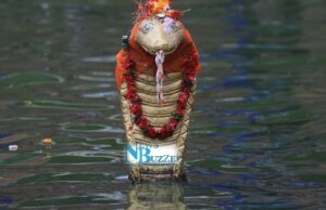 आज नागपञ्चमी, पूजा आराधना गरिँदै