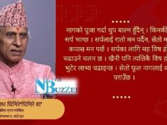 नाग पञ्चमी : किन गर्ने नागको पूजा ?