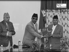 राष्ट्रपति पौडेलसमक्ष मधेसी आयोगको वार्षिक प्रतिवेदन पेश