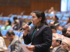 सेयर बजार उकालो लाग्यो भनेर सरकार ढुक्क नहोस्‚ बिचौलियाको प्रभावमा छ : सांसद शर्मा