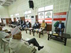 हवाई भाडादर घटाउन सरकारलाई आग्रह गर्ने कांग्रेसको निर्णय