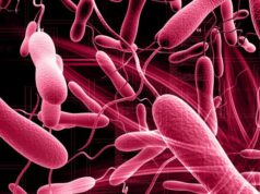 हैजा सङ्क्रमितको संख्या ५८ पुग्यो