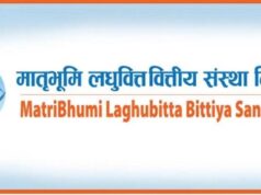 मातृभूमि लघुवित्तको सीईओमा शर्मा नियुक्ति