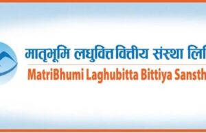 मातृभूमि लघुवित्तको सीईओमा शर्मा नियुक्ति