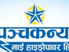 पञ्चकन्या माई हाइड्रोपावरको अध्यक्षबाट श्रेष्ठले दिए राजीनामा