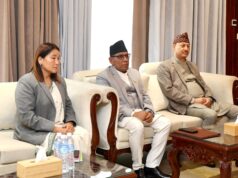 संवैधानिक परिषद्को बैठक स्थगित