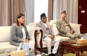 संवैधानिक परिषद्को बैठक स्थगित