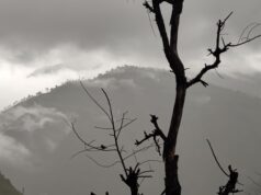 बढ्यो चिसो ; पहाडमा वर्षा र हिमालमा हिमपातको सम्भावना