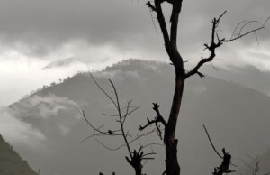 बढ्यो चिसो ; पहाडमा वर्षा र हिमालमा हिमपातको सम्भावना