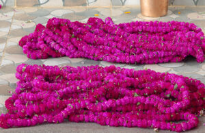 तिहारमा ३८ करोड रुपैयाँ बराबरको माला खपत