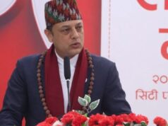 डीपी अर्याल बने रास्वपाको कार्यबाहक सभापति