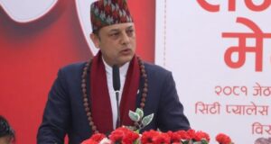 डीपी अर्याल बने रास्वपाको कार्यबाहक सभापति