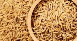 कैलालीमा तीन लाख २४ हजार मेट्रिकटन धान उत्पादन