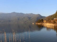 झारपातले कुरूप बन्दै राराताल