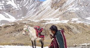 ओस्कारबाट बाहिरियो ‘शाम्बाला’