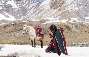 ओस्कारबाट बाहिरियो ‘शाम्बाला’