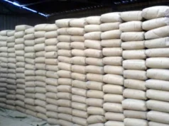 प्रतिबोरा एक सय रुपैयाँले बढ्यो सिमेन्टको मूल्य