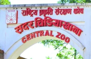 चिडियाखानाको प्रवेश शुल्क भुक्तानी अब डिजिटल माध्यमबाट