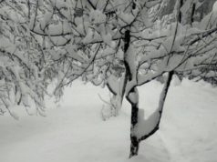 सुदूरपहाडमा हिमपात, जनजीवन प्रभावित