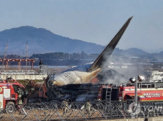 दक्षिण कोरियामा विमान दुर्घटना हुँदा १७९ जनाको मृत्यु, २ जनाको उद्धार