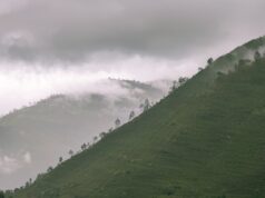 आजको मौसमःकेही प्रदेशमा वर्षाको सम्भावना