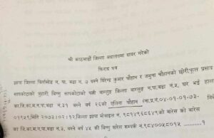 गायिका एलिना चौहानले गराइन सम्बन्ध विच्छेदको मुद्दा दर्ता