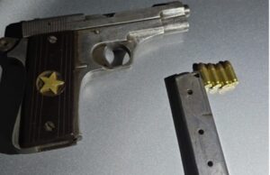 पेस्तोलसहित भारतीय नागरिक पक्राउ