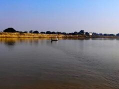 राप्ती नदीमा ४१ गोही छोडियो