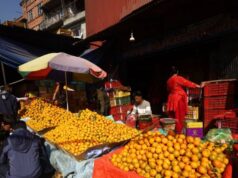 ६ महिनामा ७ हजार ४८ मेट्रिक टन सुन्तला आयात