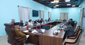 सामाजिक सञ्जाल नियमन गर्ने विधेयक संसदमा पेस गर्ने सरकारको निर्णय