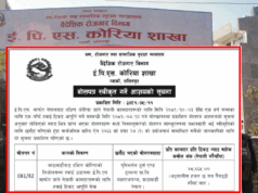 ईपीएस मार्फत तोकियो कोरियाको हवाई भाडा, भ्याटबाहेक प्रतिटिकट साढे ४८ हजार