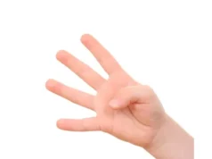 जागिर छाड्छु भन्न नसकेर कर्मचारीले काटे आफ्नै चार औँला