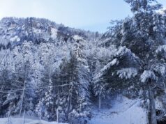 मनाङमा यसवर्षको पहिलो हिमपात