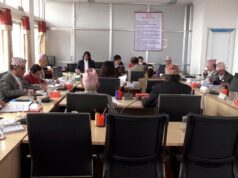 ‘नेपालमा पानी जहाज चलाउने कुरामा ठट्टा गरे, अहिले आवश्यक लाग्न थाल्यो’