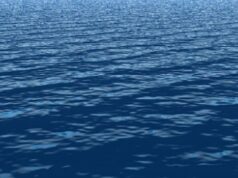 दक्षिण कोरियामा माछा मार्ने डुङ्गा पल्टिँदा तीन जना बेपत्ता