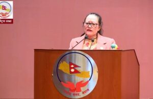 गैरआवासीय नेपालीलाई वंशजको नागरिकता दिनुपर्छ : सांसद सापकोटा