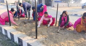 टीकापुरमा ‘भ्यालेन्टाइन–डे’का दिन गुलाफका १० हजार बिरुवा रोपिने