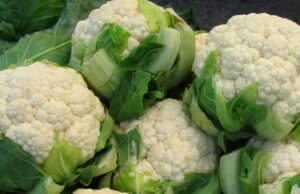 कालीमाटीको काउलीमा भेटियो अत्यधिक मात्रामा विषादी