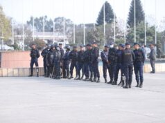 संसद भवन परिसरबाट तीन जना पक्राउ