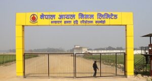 नेपाल आयल निगम रूपन्देहीको प्रादेशिक इन्धन डिपोको डीपीआर अन्तिम चरणमा