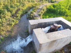 सिँचाइले सुक्खा जमिन हराभरा बन्दै