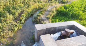 सिँचाइले सुक्खा जमिन हराभरा बन्दै