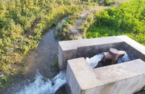 सिँचाइले सुक्खा जमिन हराभरा बन्दै