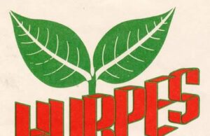 मानव अधिकार तथा शान्ति समाजले विधेयकविरुद्ध देशव्यापी अभियान चलाउने