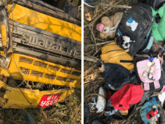 दक्षिणकालीमा विद्यार्थी बोकेको बस दुर्घटना, चालक र एक विद्यार्थीको मृत्यु